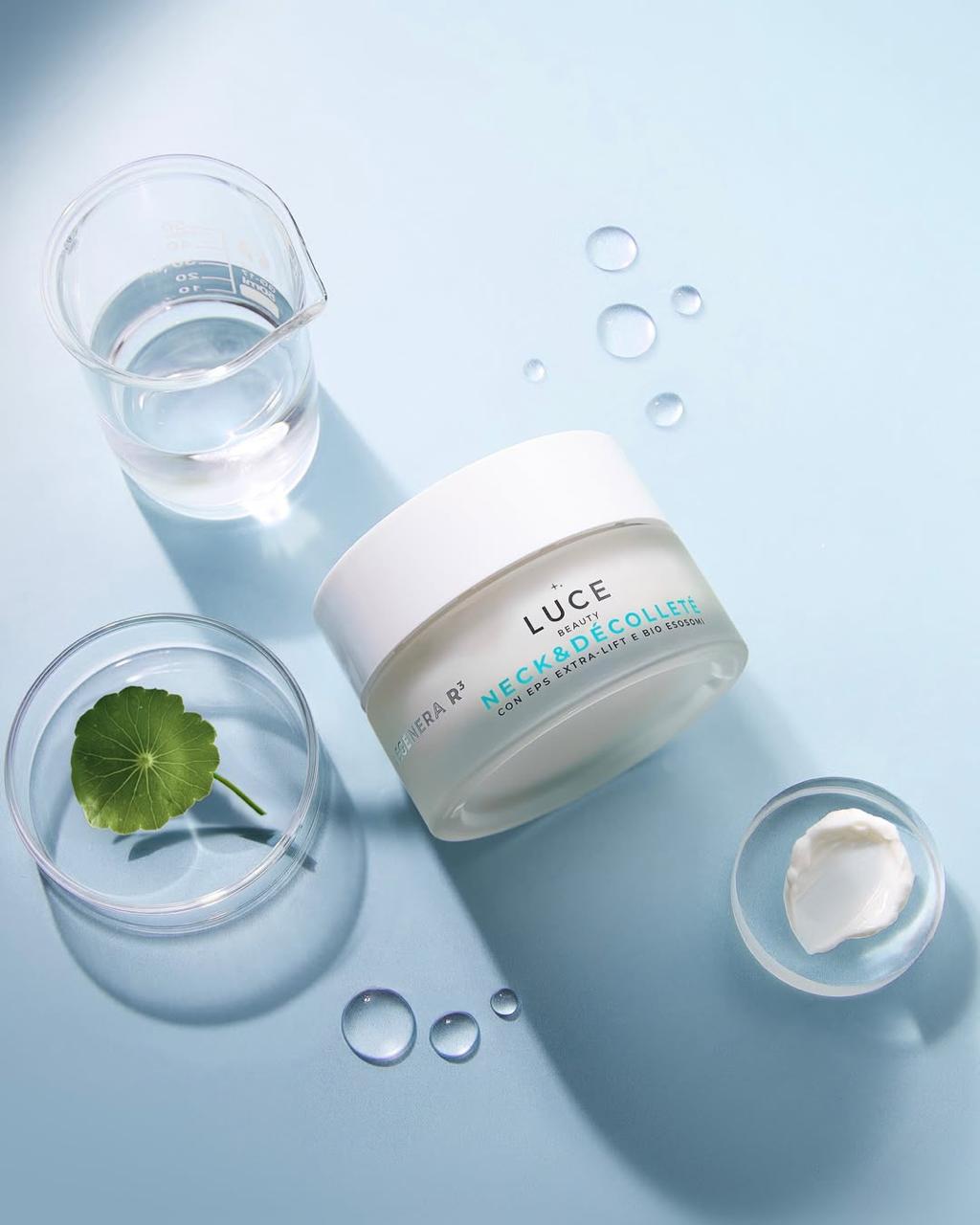 WhatsApp Image 2026-03-01 at 7.57.23 PM